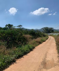 Khu đất Biệt Thự view đẹp xã Gia Lâm